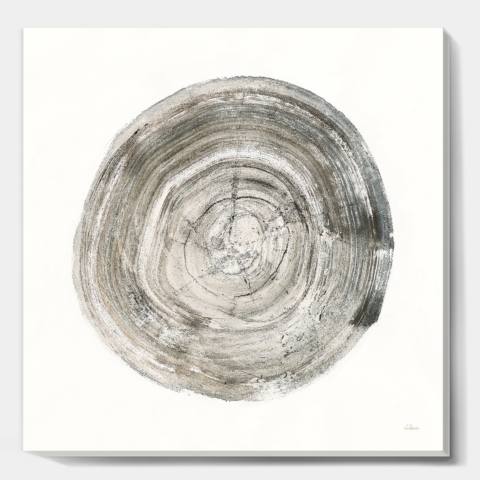 Circle natural elements IV - Farmhouse Premium Canvas Wall Art