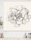 Pen and Ink Florals IV - Farmhouse Canvas Artwork