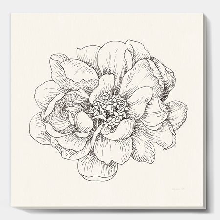Pen and Ink Florals IV - Farmhouse Canvas Artwork
