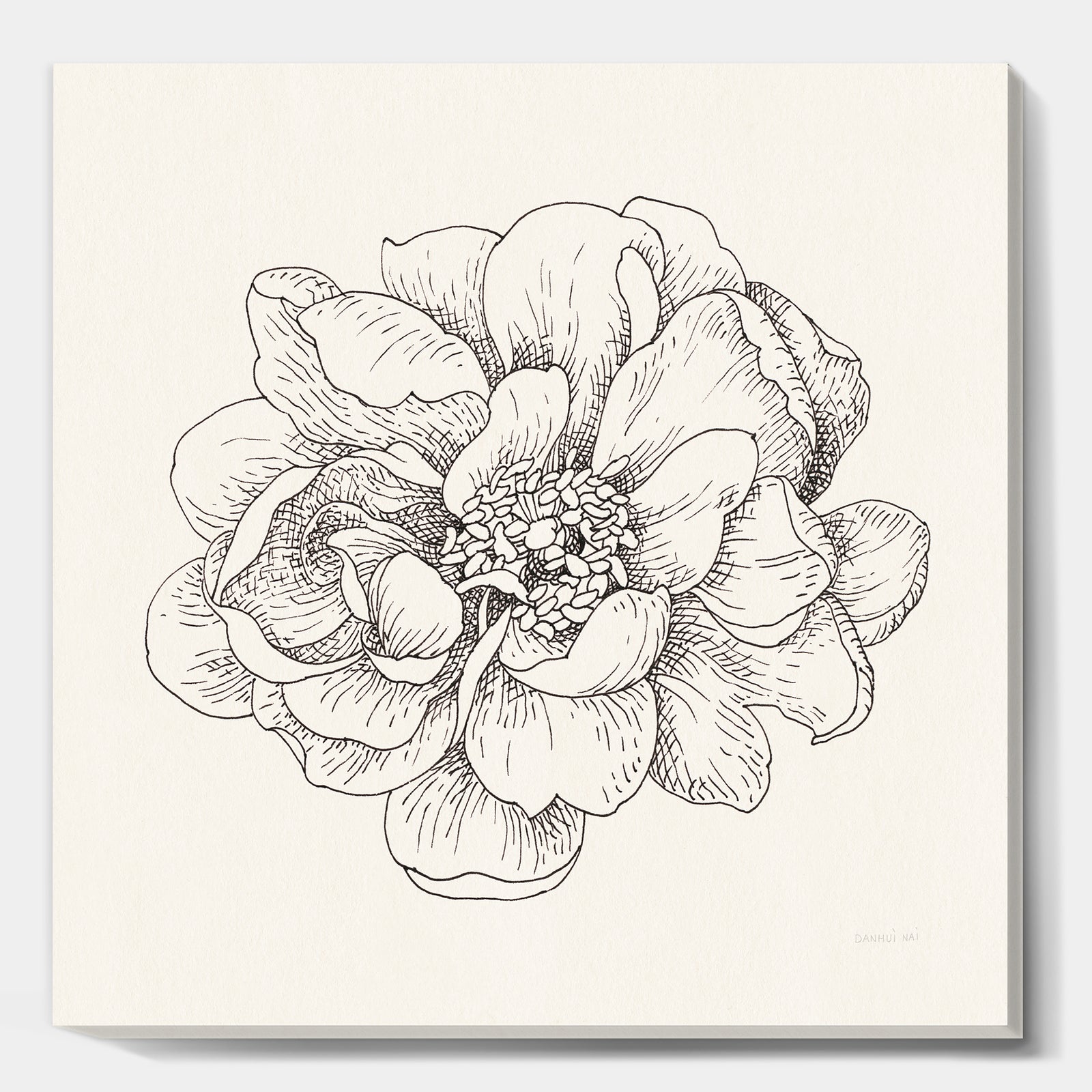 Pen and Ink Florals IV - Farmhouse Canvas Artwork