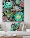 Floral Succulents - Traditional Canvas Artwork