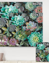 Floral Succulents - Traditional Canvas Artwork