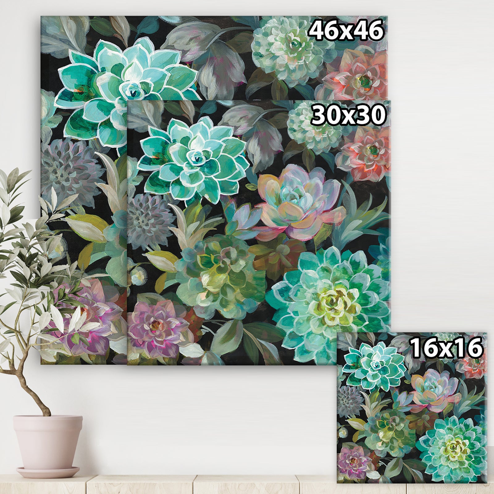 Floral Succulents - Traditional Canvas Artwork
