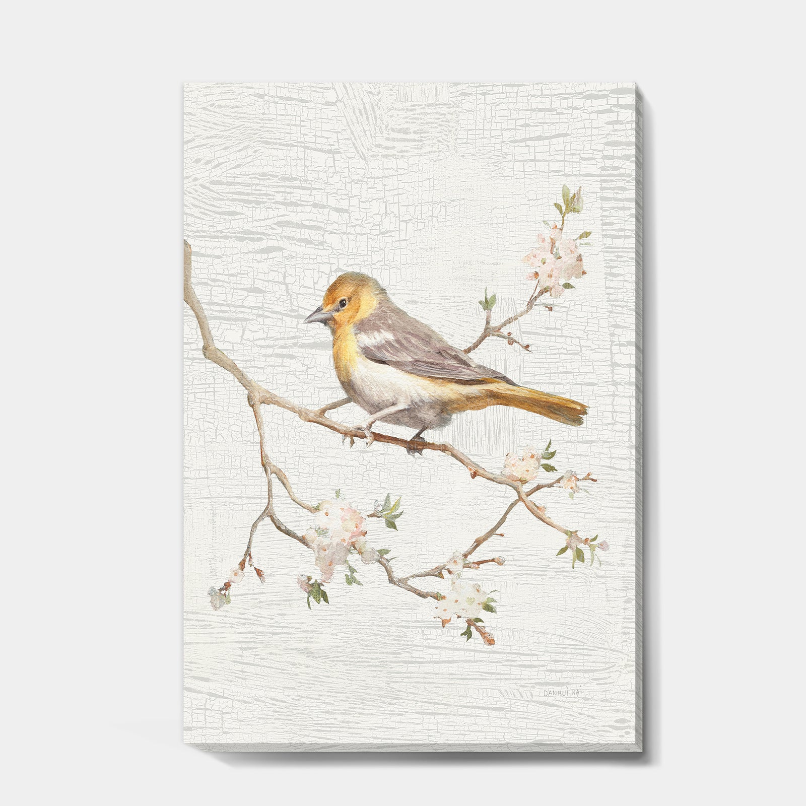 Birds on Blossom II - Farmhouse Canvas Artwork