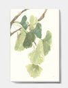 Watercolor Gingko Leaves I - Cabin & Lodge Gallery-wrapped Canvas