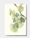 Watercolor Gingko Leaves II - Cabin & Lodge Canvas Artwork