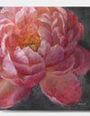 Vivid Pink Peonies I - Shabby Chic Gallery-wrapped Canvas