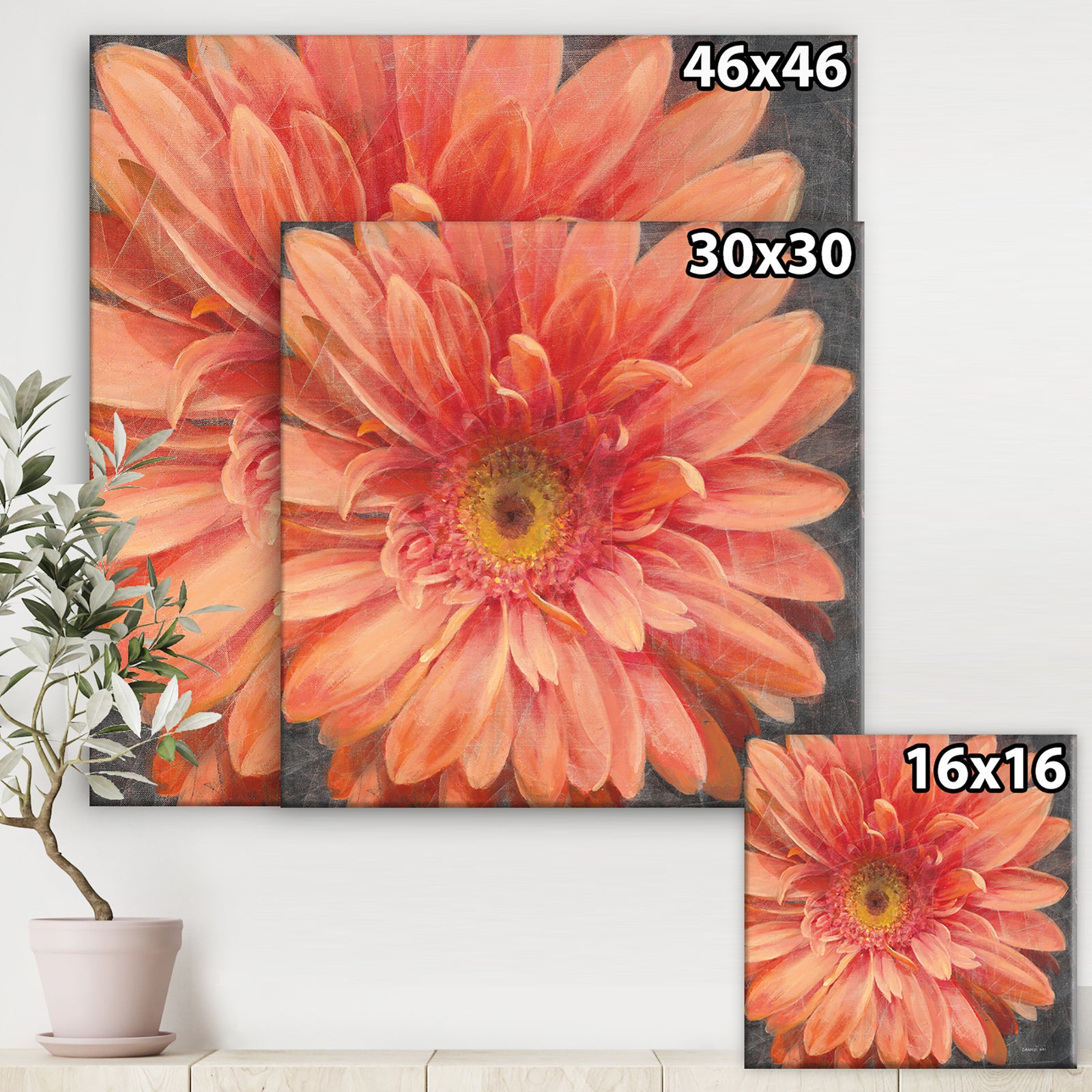 Vivid Orange Daisy II - Shabby Chic Canvas Artwork