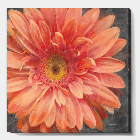 Vivid Orange Daisy II - Shabby Chic Canvas Artwork