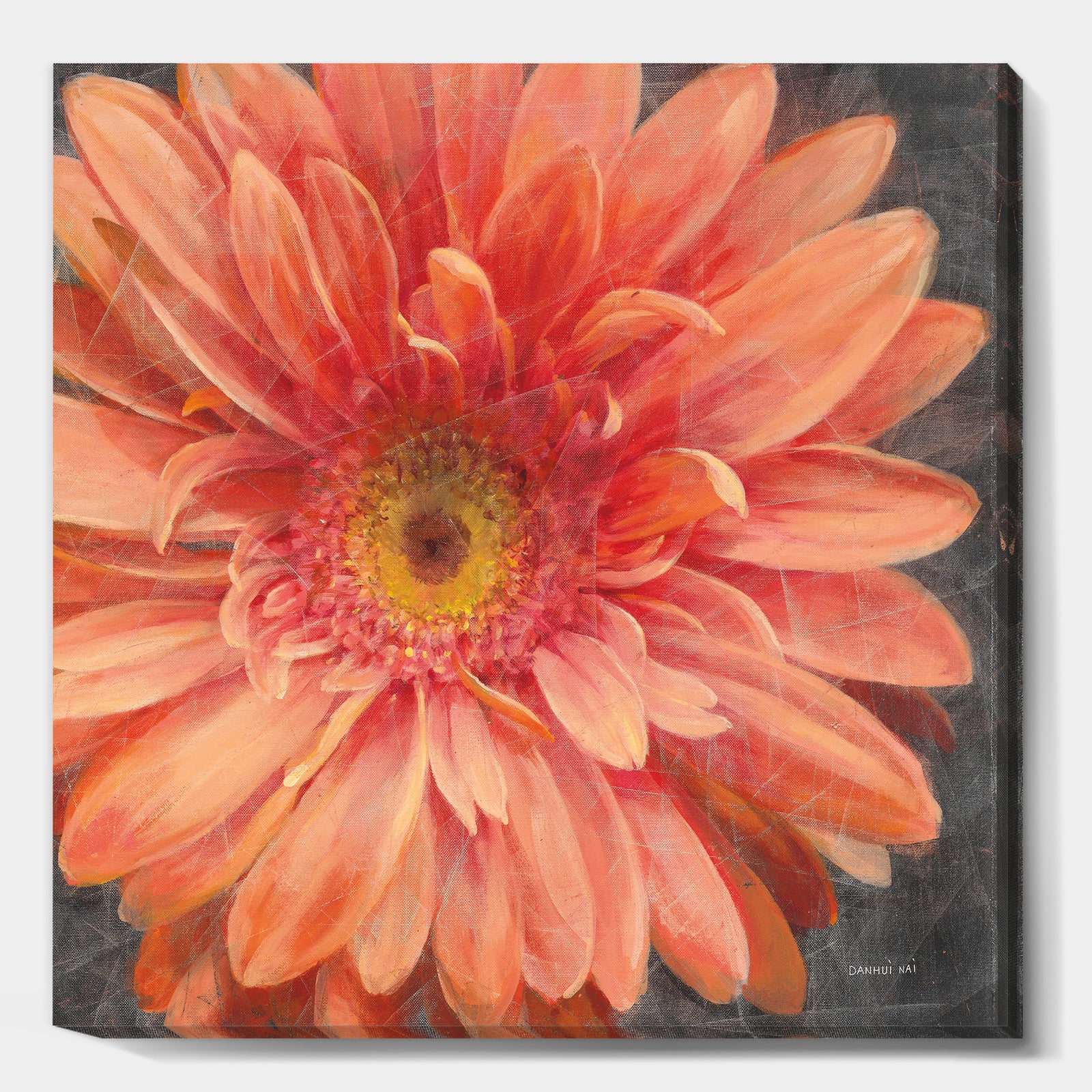 Vivid Orange Daisy II - Shabby Chic Canvas Artwork