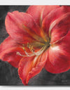 Vivid Red Lily III - Shabby Chic Canvas Art