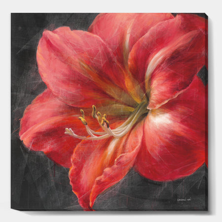 Vivid Red Lily III - Shabby Chic Canvas Art