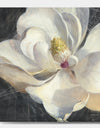 Vivid White Magnolia IV - Shabby Chic Premium Canvas Wall Art