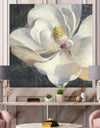 Vivid White Magnolia IV - Shabby Chic Premium Canvas Wall Art
