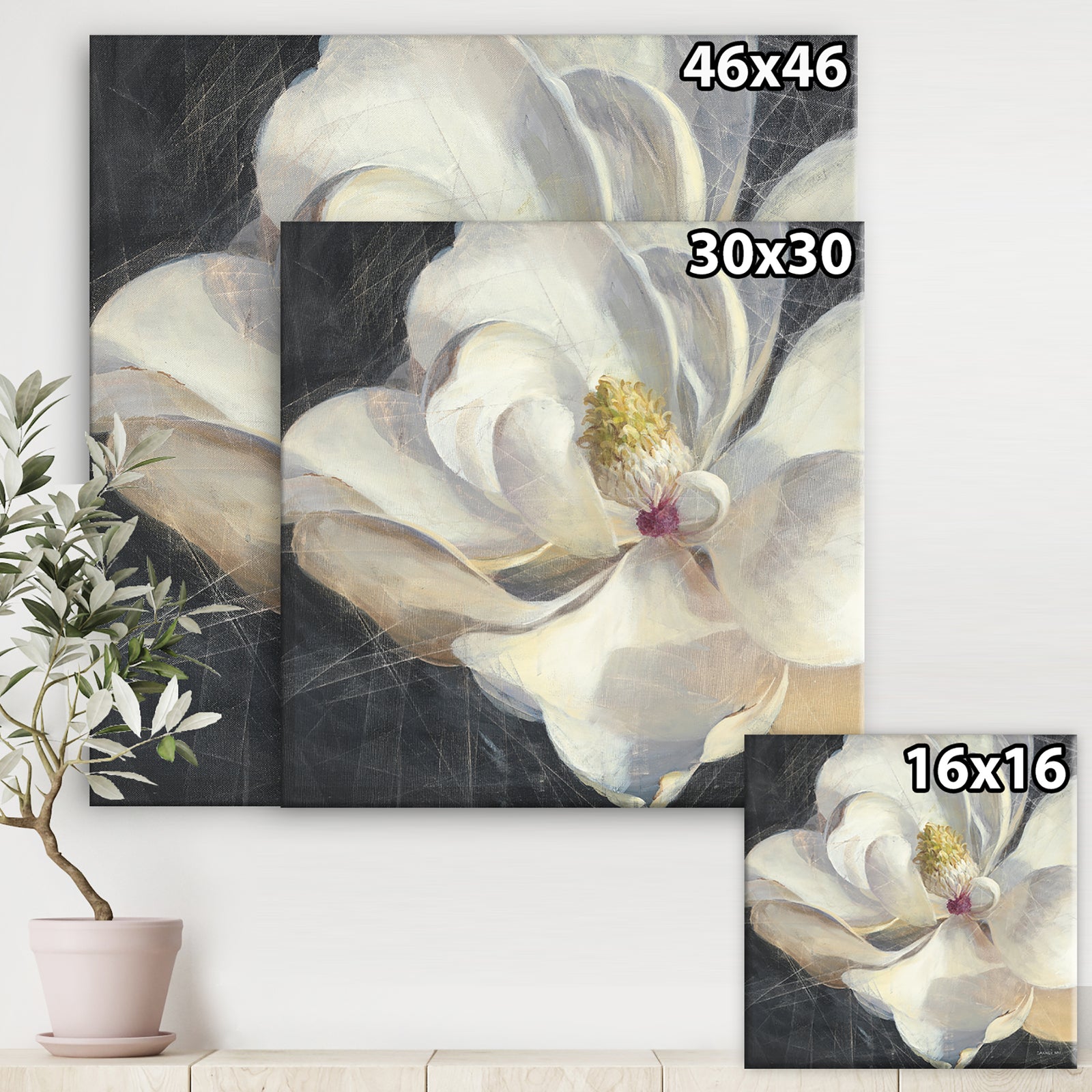 Vivid White Magnolia IV - Shabby Chic Premium Canvas Wall Art