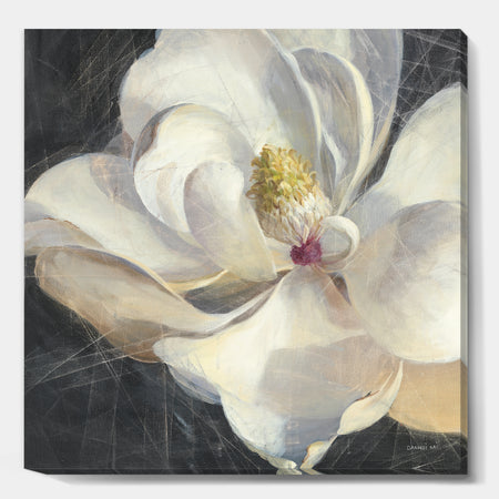 Vivid White Magnolia IV - Shabby Chic Premium Canvas Wall Art