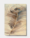 Feather Natural elements - Traditional Canvas Art