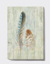 Natural Feathers on Wood I - Farmhouse Canvas Artwork