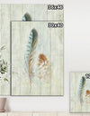 Natural Feathers on Wood I - Farmhouse Canvas Artwork