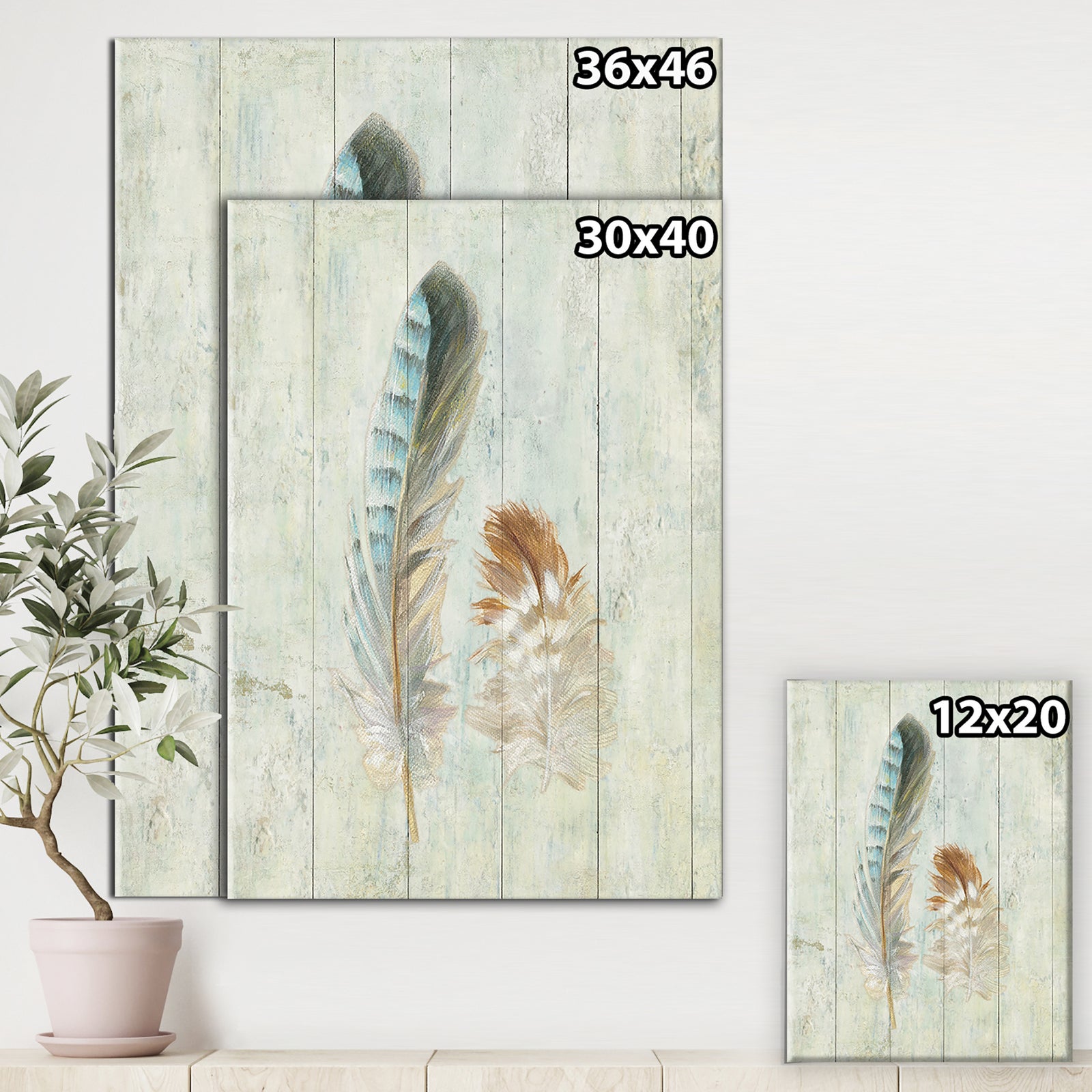 Natural Feathers on Wood I - Farmhouse Canvas Artwork