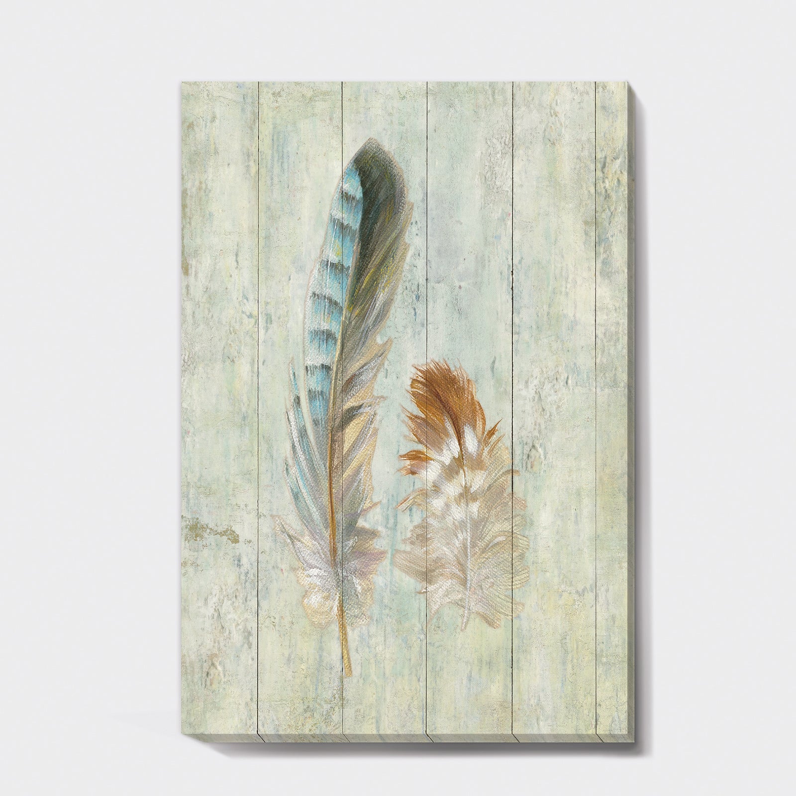 Natural Feathers on Wood I - Farmhouse Canvas Artwork