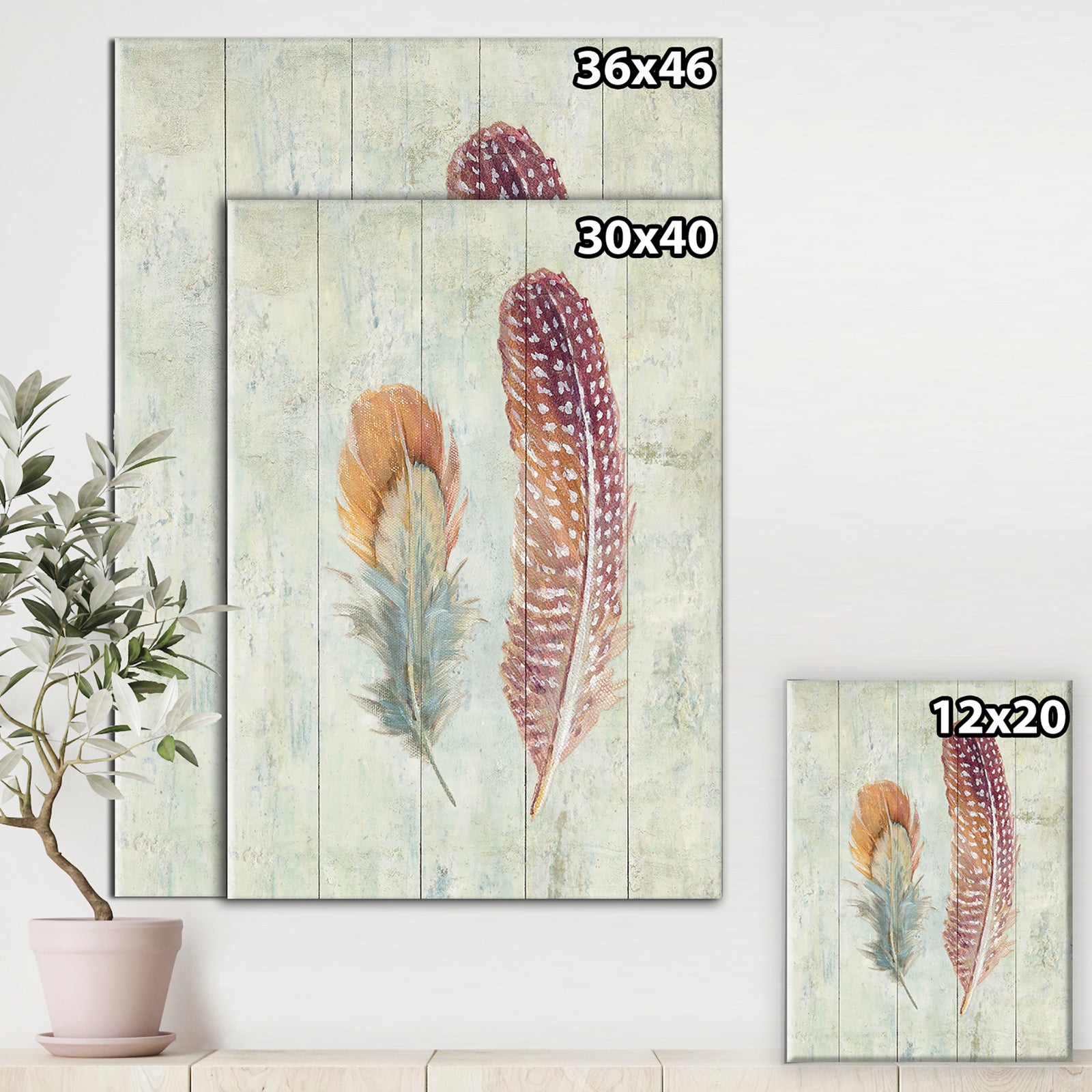 Natural Feathers on Wood II - Farmhouse Canvas Art