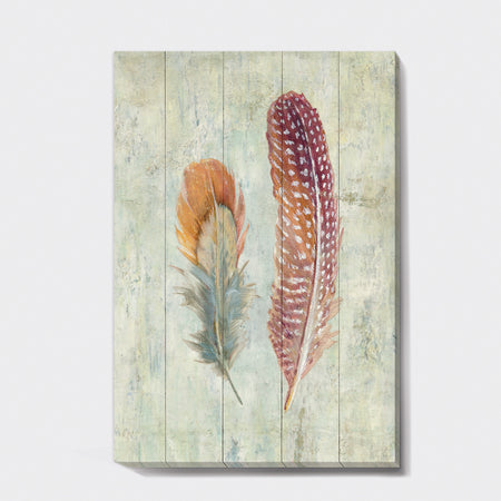 Natural Feathers on Wood II - Farmhouse Canvas Art