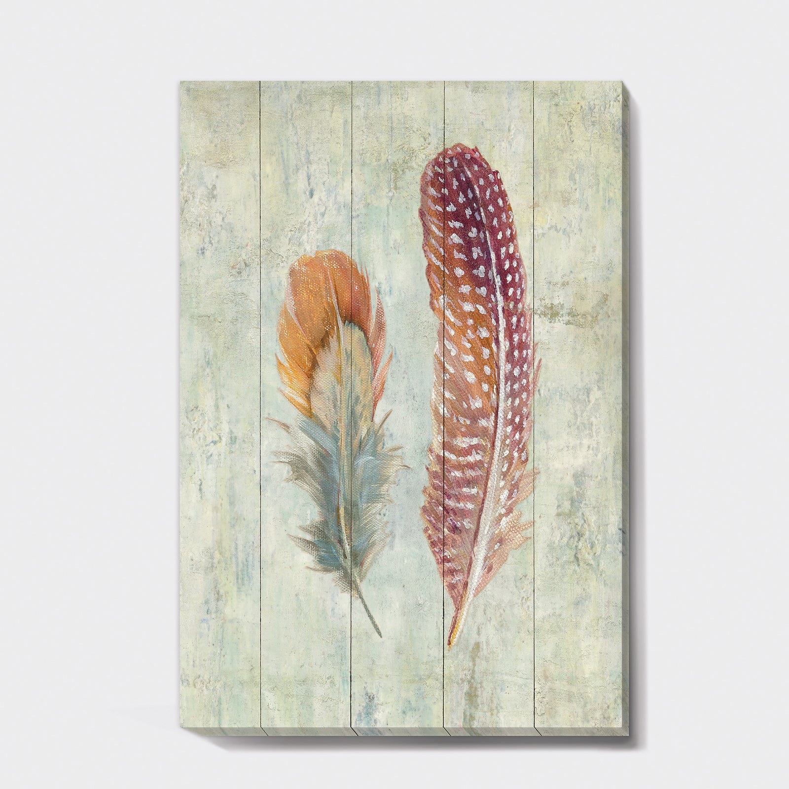 Natural Feathers on Wood II - Farmhouse Canvas Art