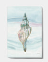 Ocean Metallic Conch - Lake House Canvas Artwork