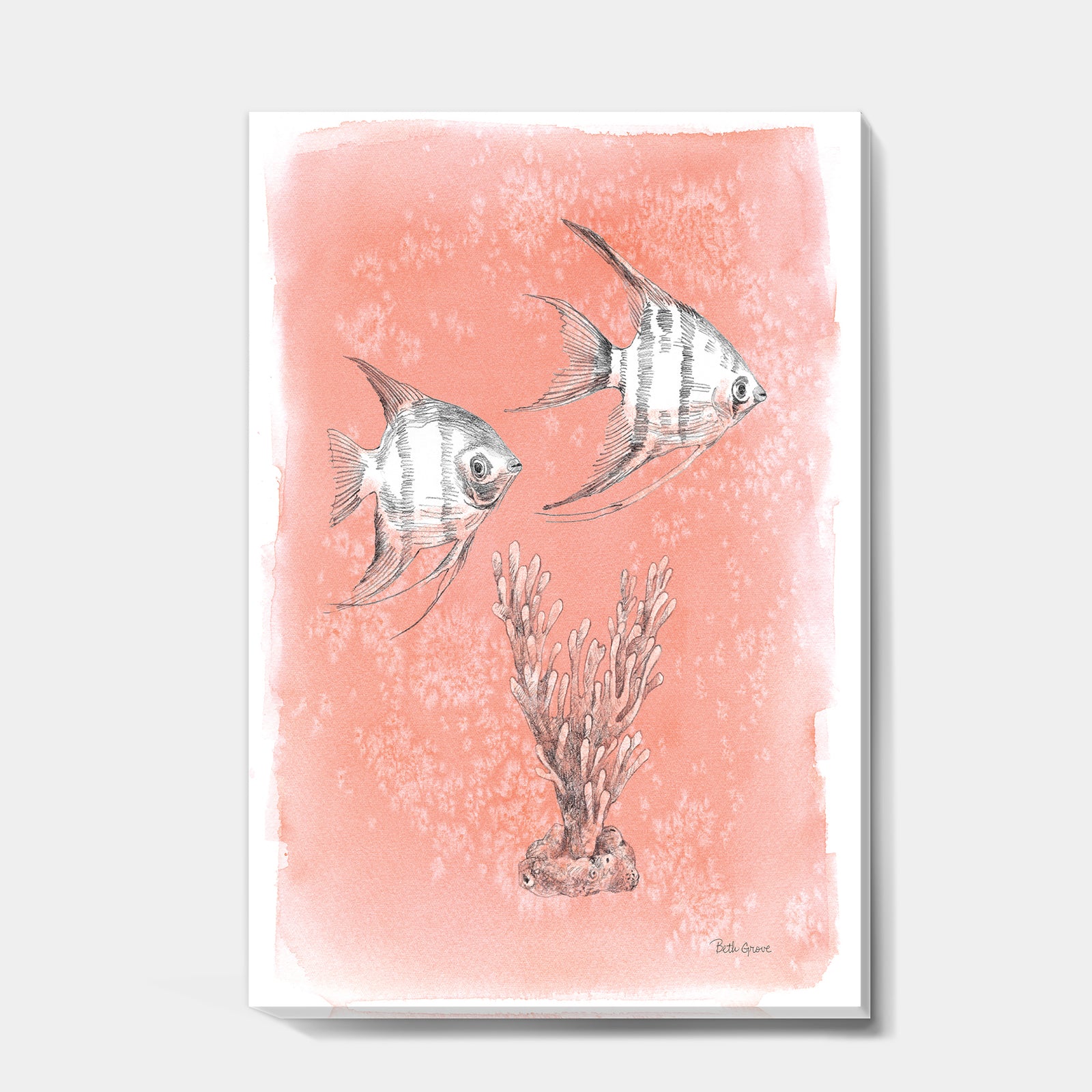Coastal Sea Life III fish sketches - Nautical & Coastal Premium Canvas Wall Art