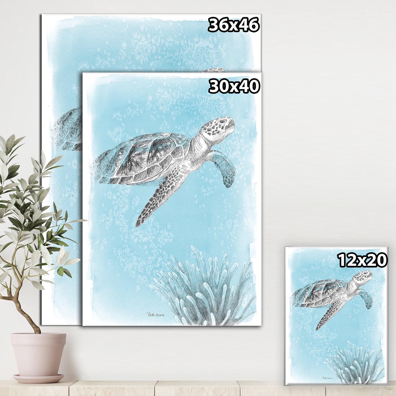 Coastal Sea Life I Turtle sketches - Nautical & Coastal Canvas Artwork