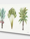 Mixed Botanical Greens palms II - Farmhouse Premium Canvas Wall Art