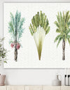 Mixed Botanical Greens palms II - Farmhouse Premium Canvas Wall Art