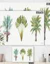 Mixed Botanical Greens palms II - Farmhouse Premium Canvas Wall Art