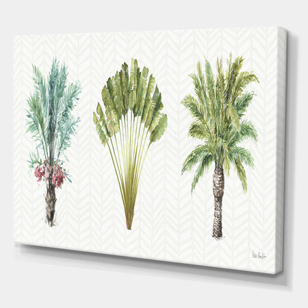 Mixed Botanical Greens palms II - Farmhouse Premium Canvas Wall Art