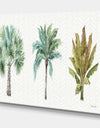 Mixed Botanical Greens palms I - Farmhouse Gallery-wrapped Canvas