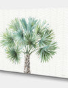 Mixed Botanical Greens palms III - Farmhouse Canvas Artwork