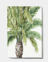 Mixed Botanical Greens palms V - Farmhouse Premium Canvas Wall Art