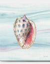 Gilded Sea Horn Shell on Blue - Nautical & Coastal Canvas Artwork