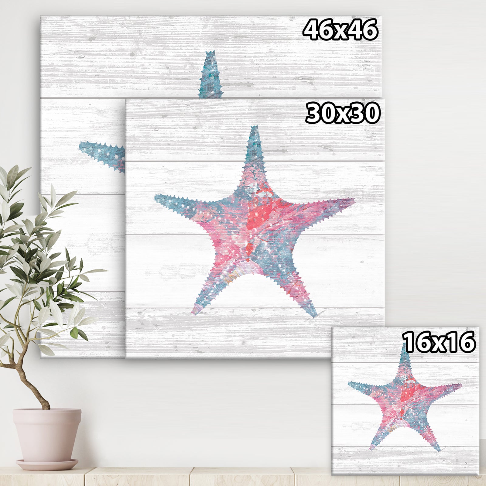 Pink Starfish Ocean Life - Canvas Art