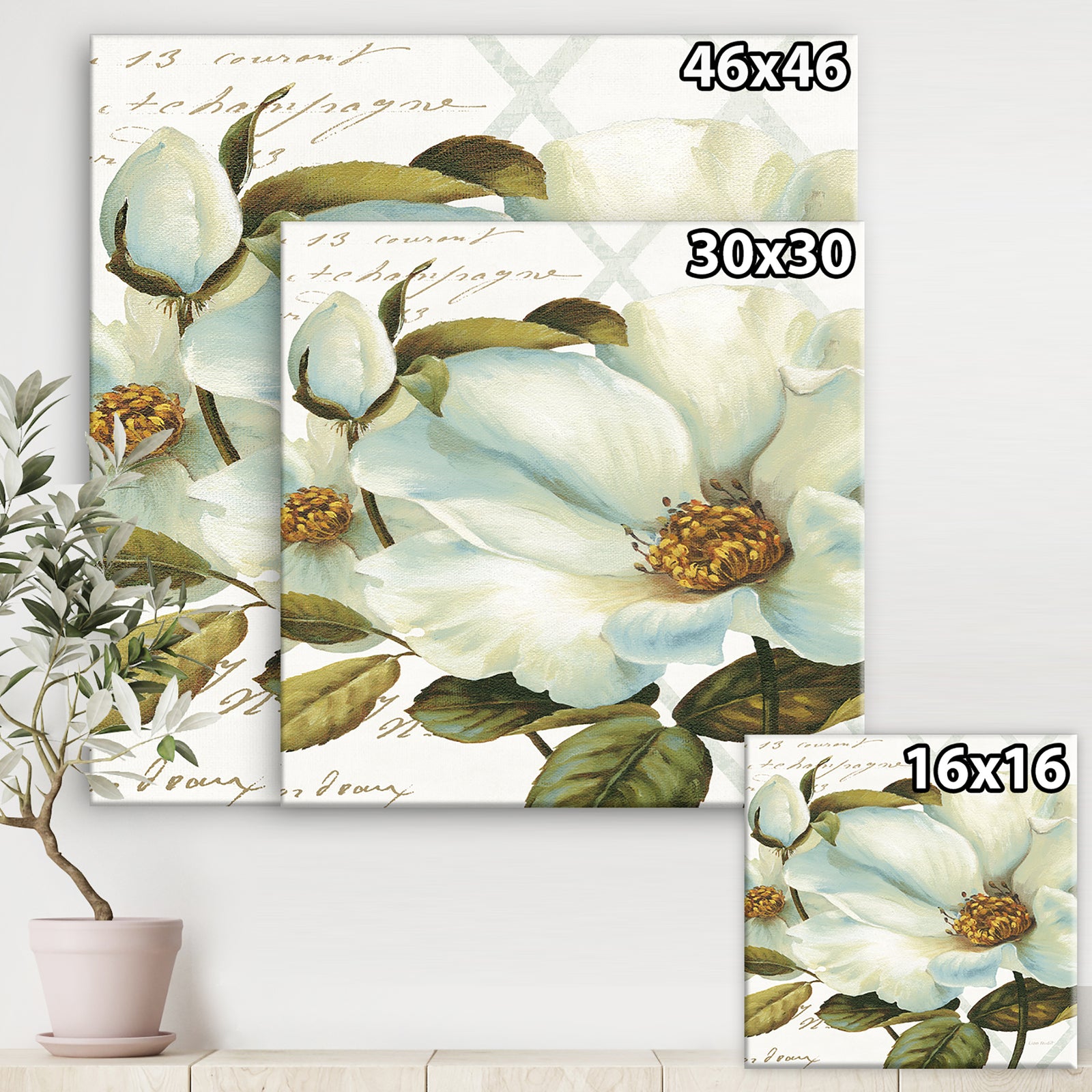 White Blossoming Flower Close-up - Modern Farmhouse Canvas Artwork