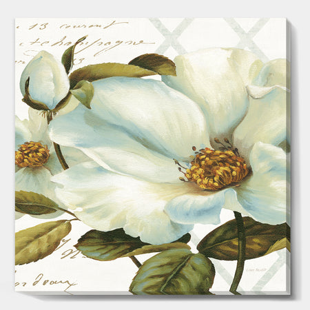 White Blossoming Flower Close-up - Modern Farmhouse Canvas Artwork
