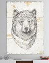 Bear Wild and Beautiful IV - Wildlife Animal Canvas Artwork