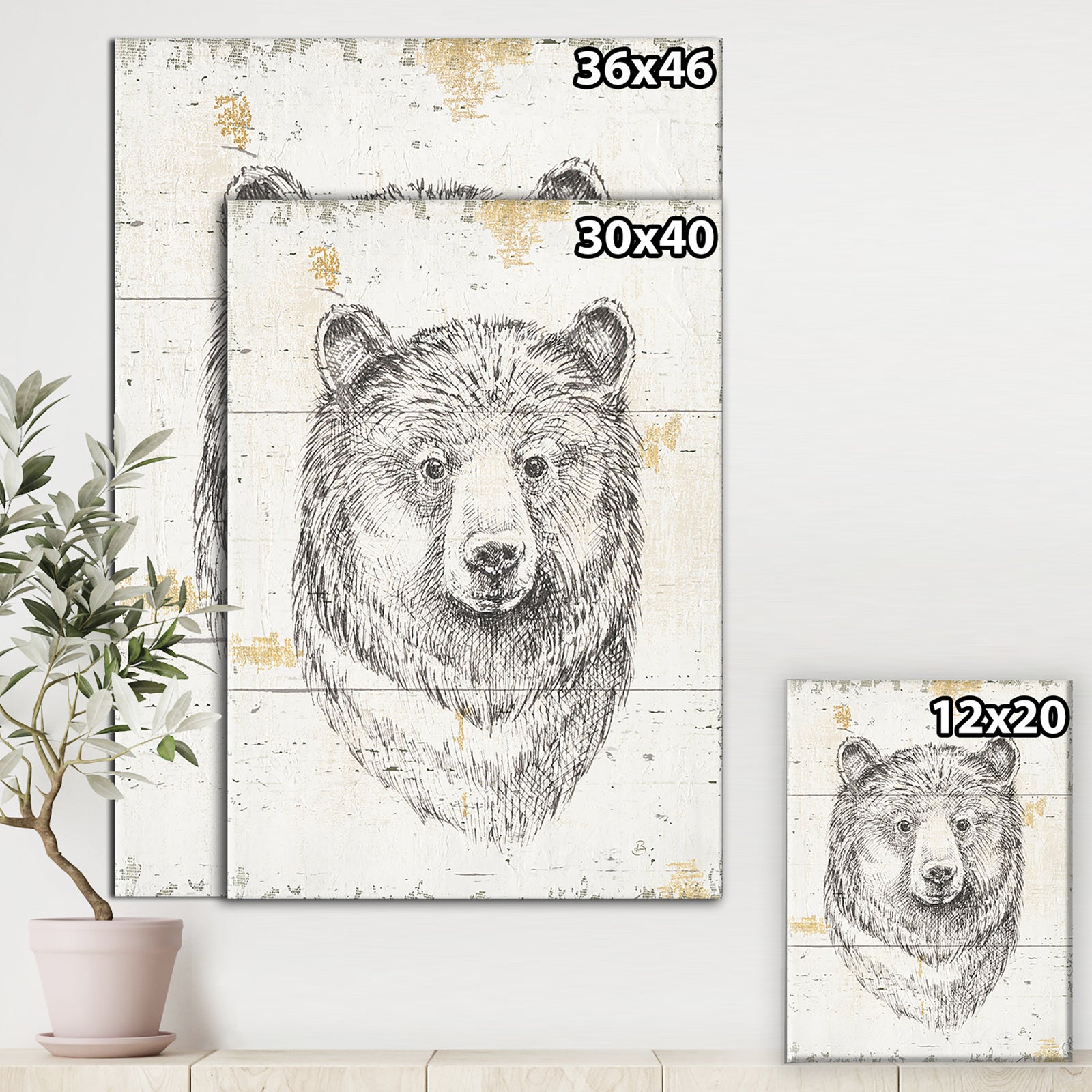 Bear Wild and Beautiful IV - Wildlife Animal Canvas Artwork