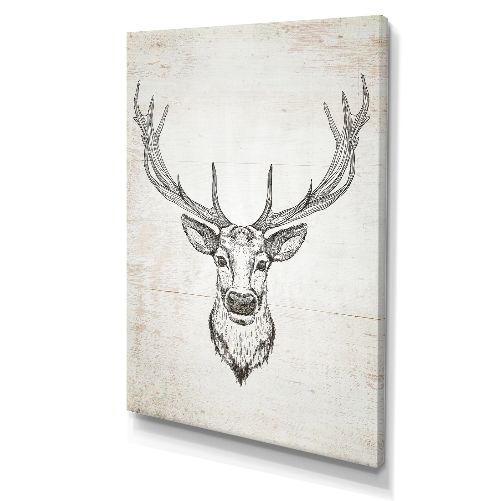 Deer Wild and Beautiful II - Wildlife Animal Canvas Art