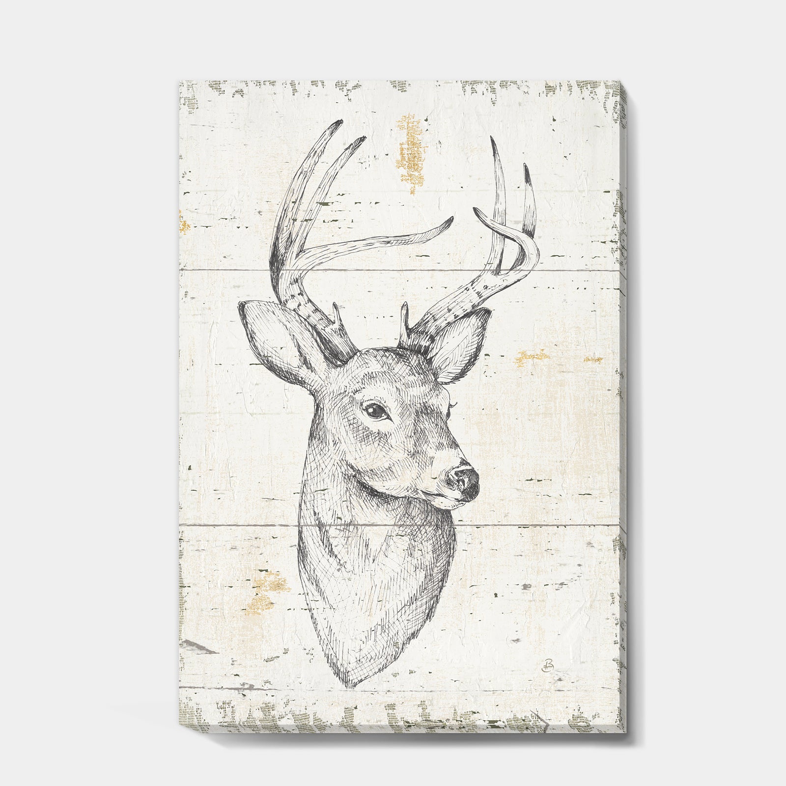 Deer Wild and Beautiful II - Wildlife Animal Canvas Art