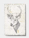 Deer Wild and Beautiful II - Wildlife Animal Premium Canvas Wall Art