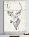 Deer Wild and Beautiful II - Wildlife Animal Premium Canvas Wall Art