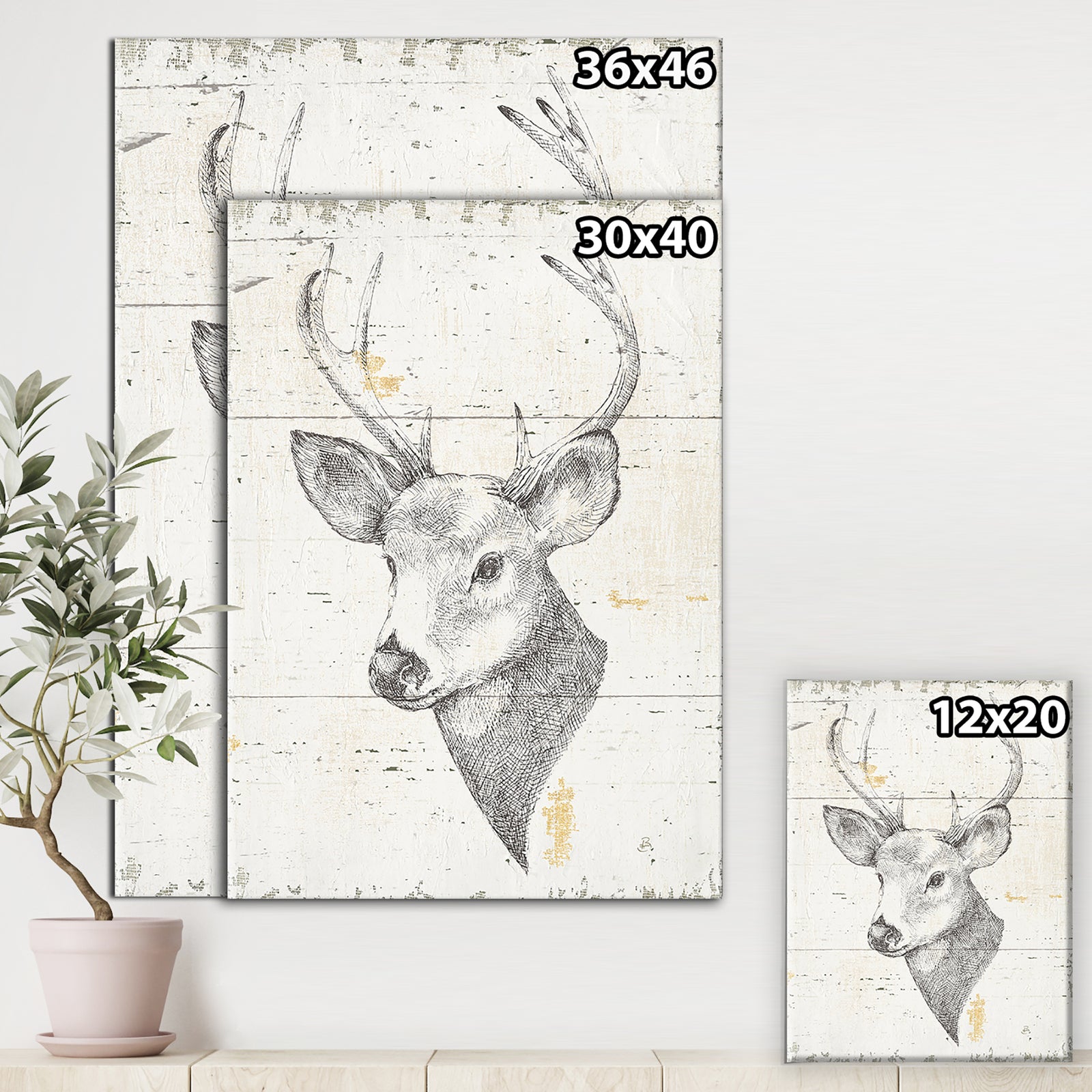 Deer Wild and Beautiful II - Wildlife Animal Premium Canvas Wall Art