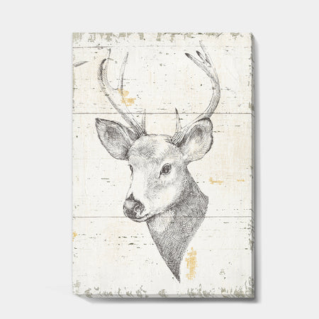 Deer Wild and Beautiful II - Wildlife Animal Premium Canvas Wall Art